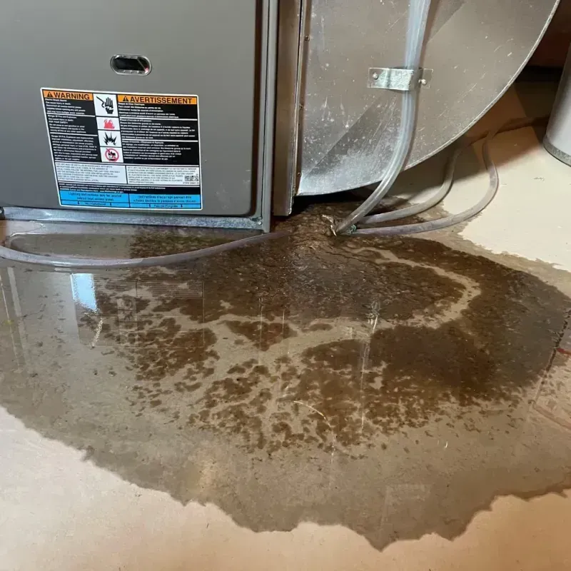 Appliance Leak Cleanup in Ardsley, NY